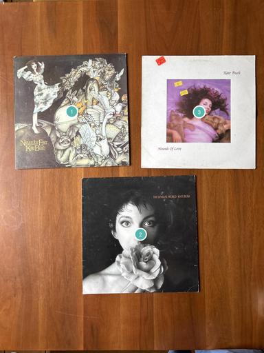 Collection of Kate Bush Albums