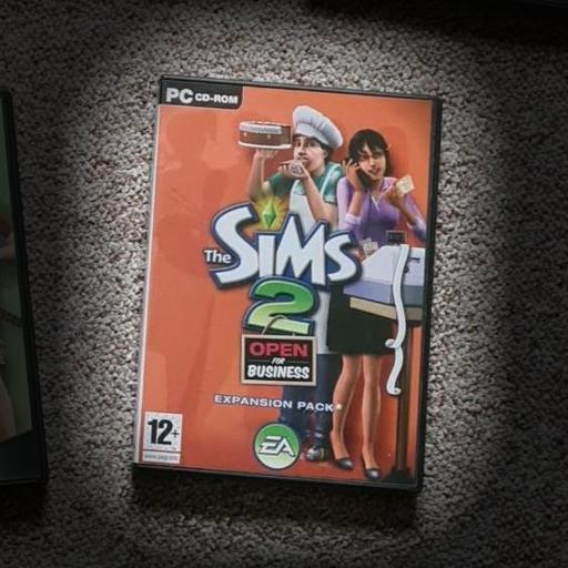 The Sims Open for Business Expansion Pack